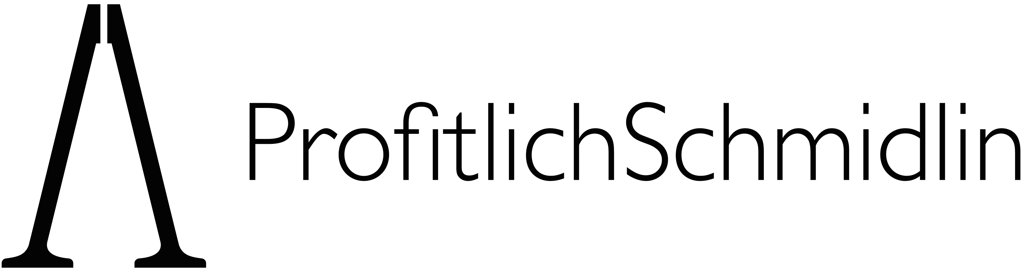 ProfitlichSchmidlin Logo